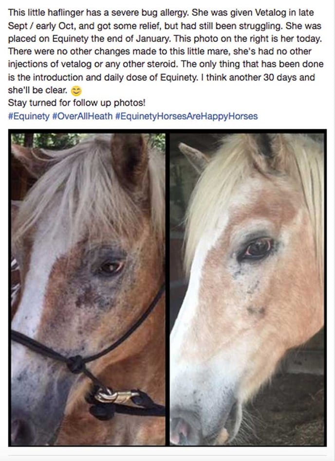 Alergies-Equinety-2-FB